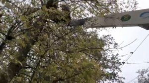 На Пожарке в Донецке идут ремонтные работы