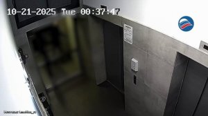 В Казани неизвестные избили и похитили девушку: полиция ведёт розыск
