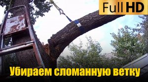 Убрали и распилили на дрова 🔥 сломанную ветку абрикоса