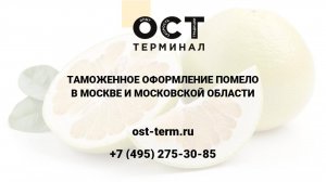 Растаможка помело