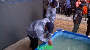 10+2 ошибок в итоговых таблицах на сайте пал