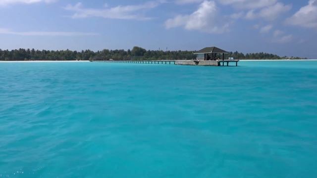 Ф.Шопен. 1 фортепианный концерт.  Анданте.  2ч.  F.Chopin. 1 piano concert. Andante. 2h