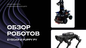 Обзор роботов EyeCar и Puppy Py