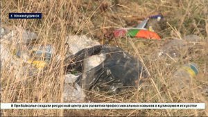 Прокуратура организовала проверку после выхода сюжета «Вести-Иркутск» о мусорной проблеме в Нижнеуди