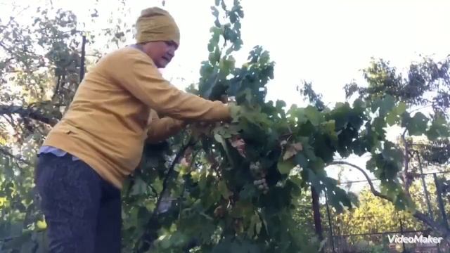 Огромное удовольствие поработать на даче