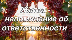 Жатва - напоминание об ответственности А.Пулин