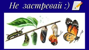 Не застревай:) 📝