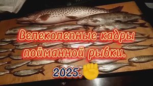 Рыбалка на хариуса Сентябрь-Октябрь,
небольшие ролики из полных рыбалок.