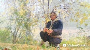 🎶🎶🎶 ОСЕННИМ УТРОМ 🍂🍂🍂