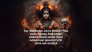 Мантра Дурге 27 Ом Шарана-Гата Динартха Пари-Трана Параяни Сарва Шакти Харе Деви Нараяни Намостуте