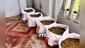 79 летний старик выращивает арбузы на балконе 😱