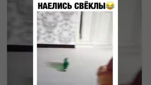 Дети наелись свеклы