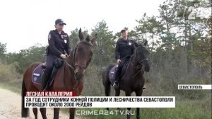 Конная полиция в Севастополе выполняет около двух тысяч рейдов в год
