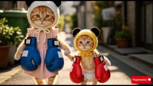 Котики и Нейро Бокс