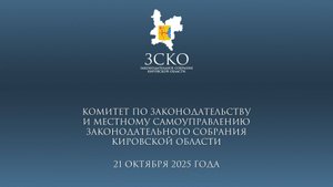 Заседание комитета по законодательству и МСУ от 21.10.2025