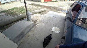 Ремонт цепей на пилу и другие покупки