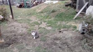 Влог:13 октября 2025 г