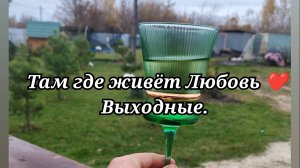 Выходные /65