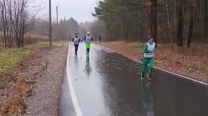 Снегири прилетели