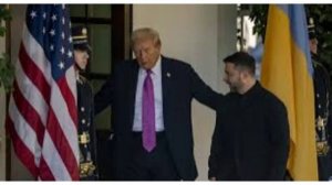 США могут принять радикальные меры по устранению Зеленского