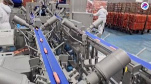 Автоматическая линия по упаковке и укладки продукта в короба
