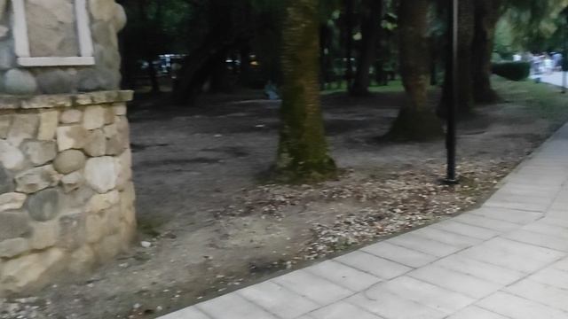 ПРОГУЛКА ПО ГАГРАМ смотреть онлайн