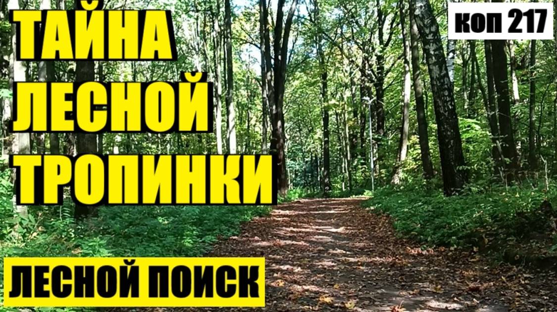 СЕРЕБРО, А ВОТ И ЕЩЕ ОДНО. коп 217