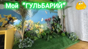 Декоративные растения в квартире.