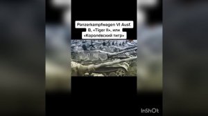Королевский тигр