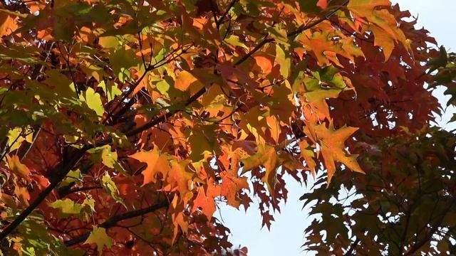 22 октября  - Мощный день. Обряд для большой удачи.