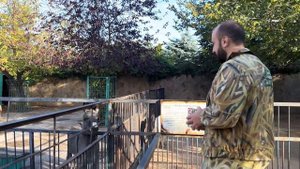 КАК ЭТО ТРОГАТЕЛЬНО! Малышка альпаки и ее родители нас узнали, посмотрите какие ОНИ БЛАГОДАРНЫЕ!))
