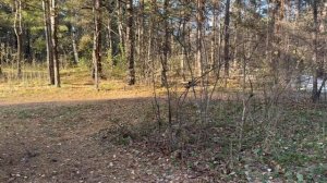 Безветренное море и парк - часть 2