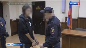 Москвича лишили свободы на 7 лет за изощренную месть сопернику по онлайн-игре из Костромы
