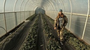 Итоги сезона 2025