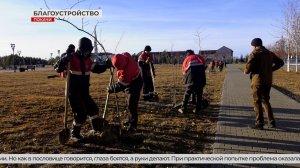 Новые растения украсят Покачи