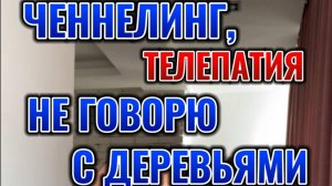 Ченнелинг, телепатия, фольгированная шапочка #ченнелинг #разговорысдеревом