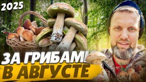 За Грибами в Августе 2025