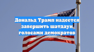 Дональд Трамп надеется завершить шатдаун голосами демократов