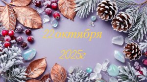 Новое поступление 22-10-2025