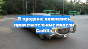 В продаже появились примечательные модели Cadilla