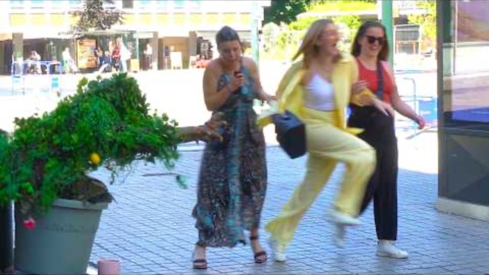 Most Heartbreaking Moments of bushman prank (ALL NEW) смотреть онлайн