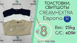 950-036 #2993 Толстовки, свитшоты Крем+Экстра Всесезон Европа