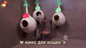 Видео для кошек про крысок развлекать питомцев 🐭🐀😂 (348)