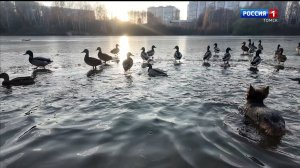Вести-Томск, выпуск от 21.10.2025 11:30
