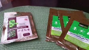 Мощная биозащита от насекомых вредителей