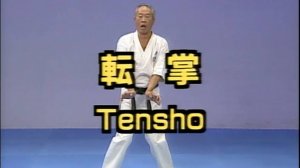 Теншо - Ката Карате Кёкусинкай (Tensho - 転掌)v.1