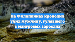 На Филиппинах крокодил убил мужчину, гулявшего в мангровых зарослях