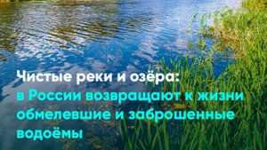 Чистые реки и озёра: в России возвращают к жизни обмелевшие и заброшенные водоёмы