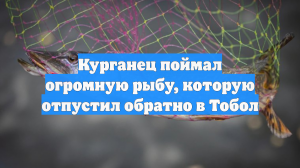 Курганец поймал огромную рыбу, которую отпустил обратно в Тобол