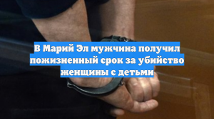 В Марий Эл мужчина получил пожизненный срок за убийство женщины с детьми